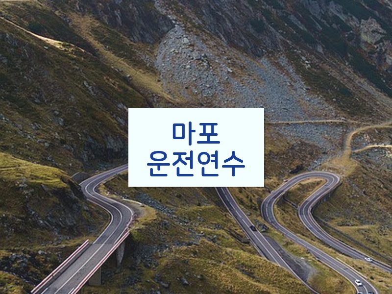 마포운전연수 후기