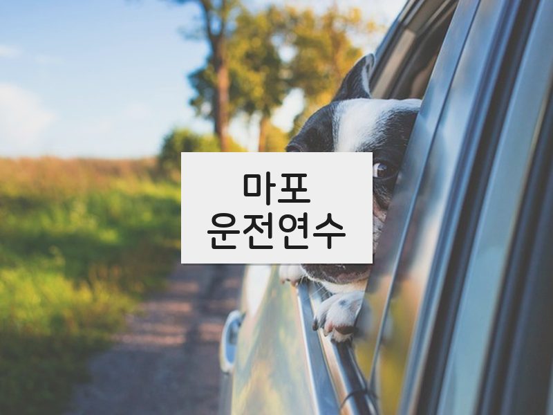 마포운전연수 후기