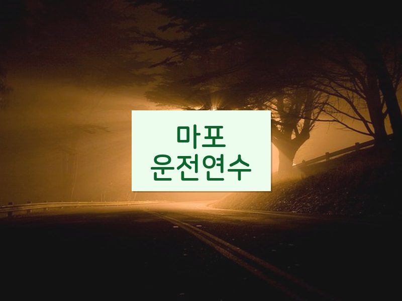 마포운전연수 후기