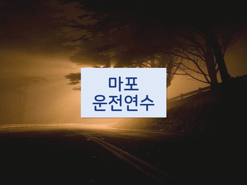 마포운전연수 후기