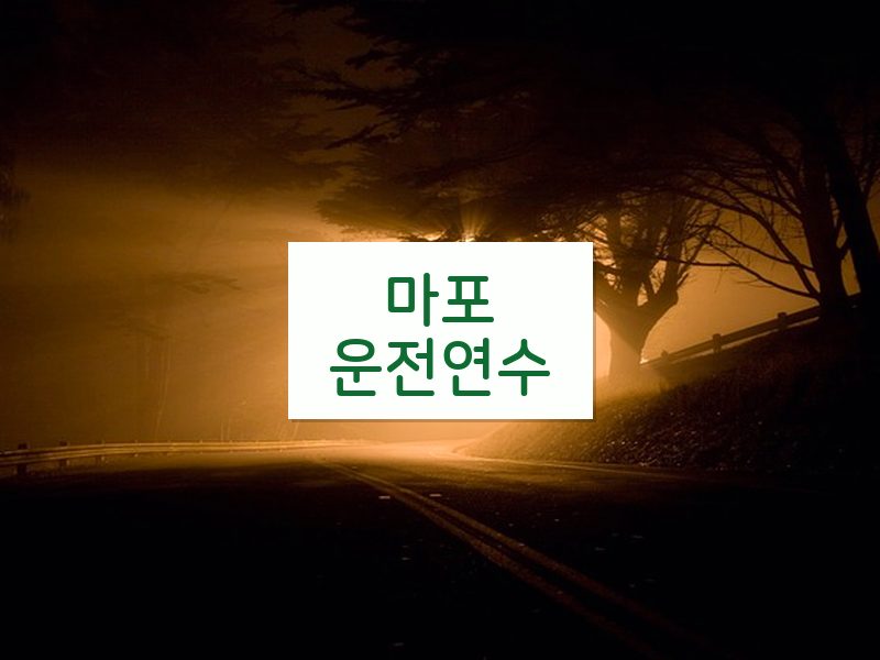 마포운전연수 후기