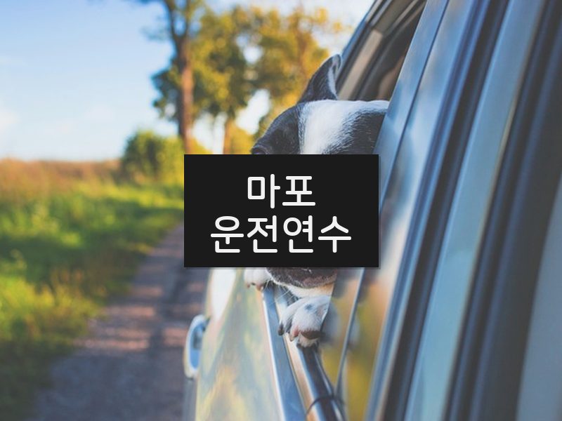 마포운전연수 후기