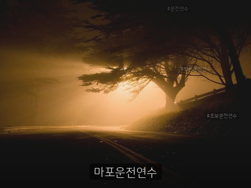 마포운전연수 후기