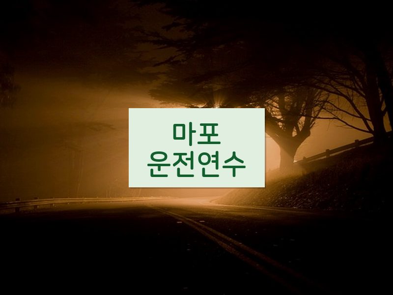 마포운전연수 후기