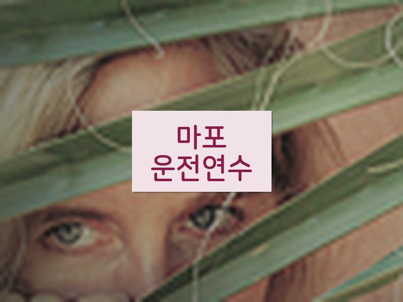 마포운전연수 후기