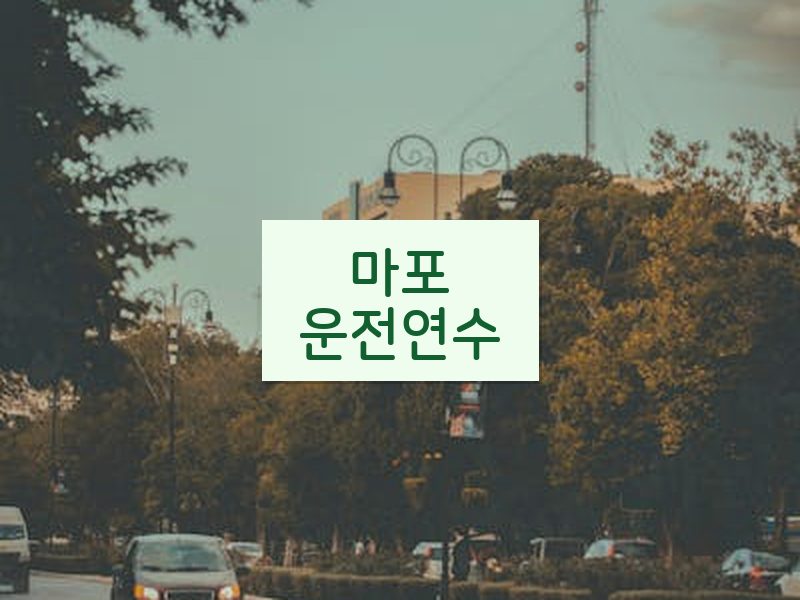 마포운전연수 후기