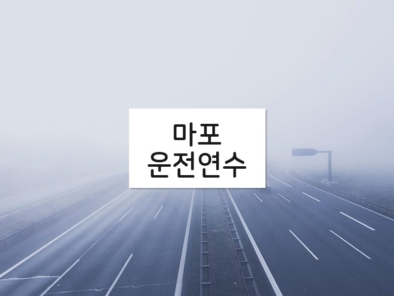 마포운전연수 후기