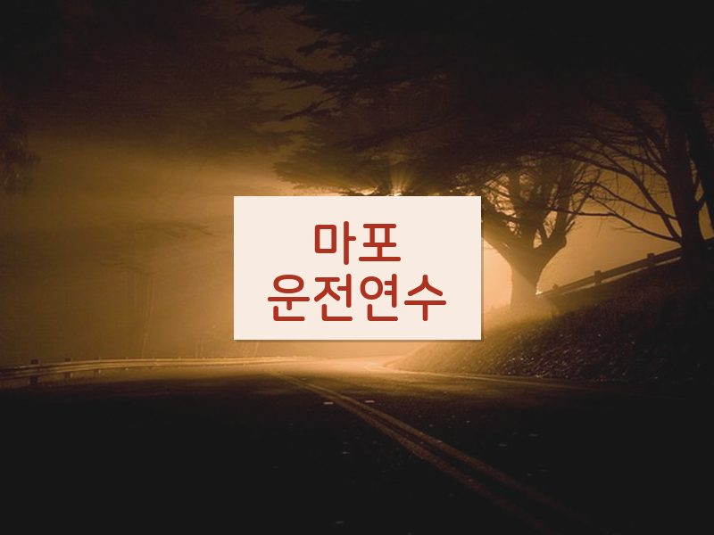 마포운전연수 후기
