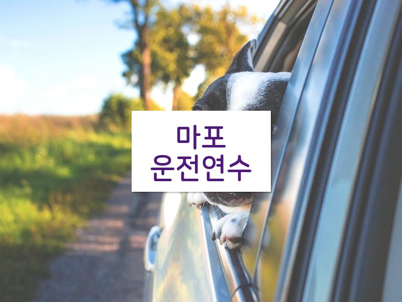 마포운전연수 후기