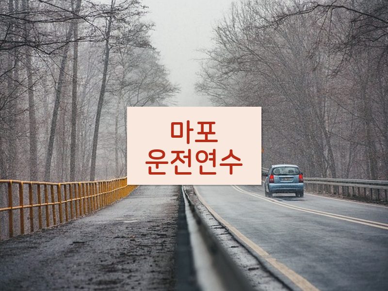 마포운전연수 후기