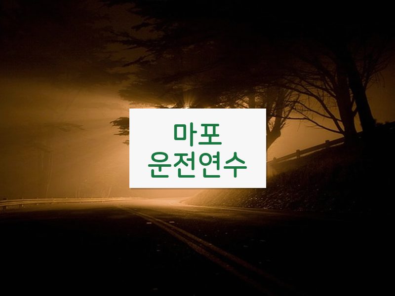 마포운전연수 후기