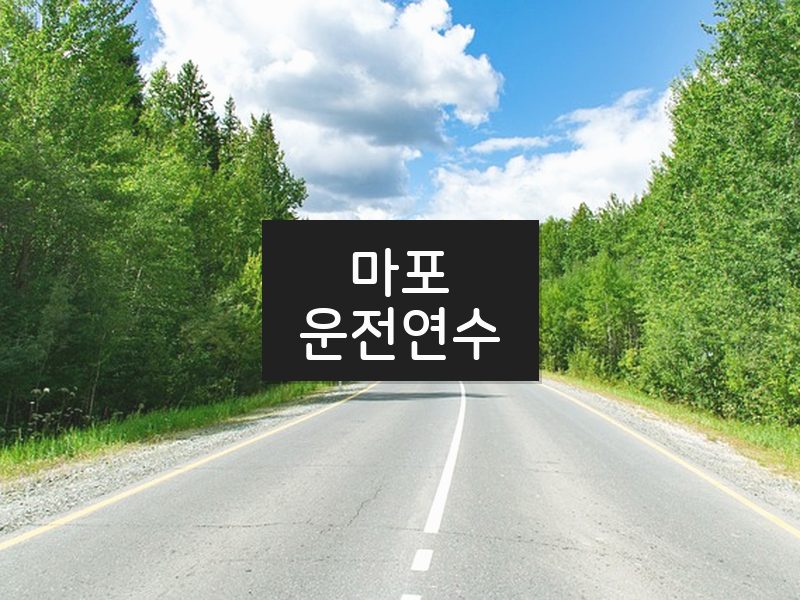 마포운전연수 후기
