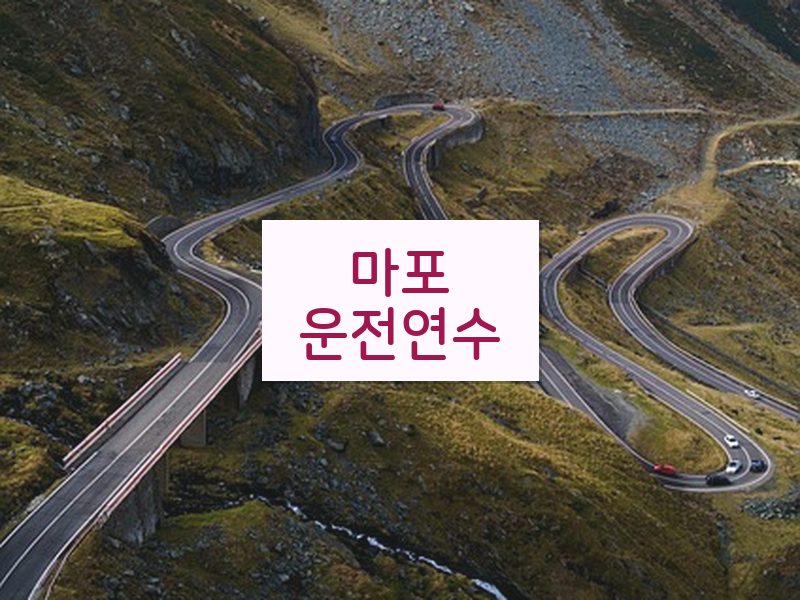 마포운전연수 후기