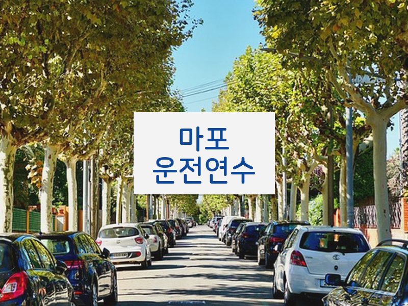 마포운전연수 후기