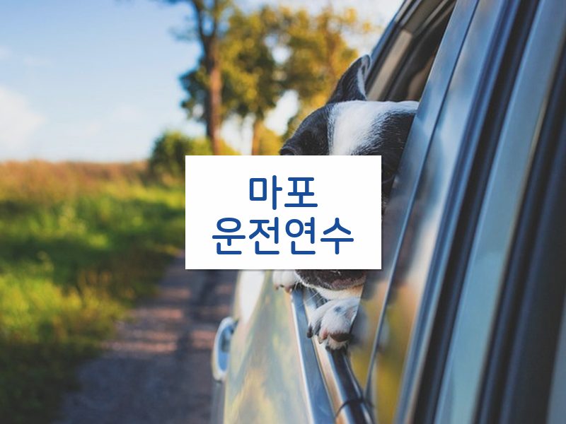 마포운전연수 후기