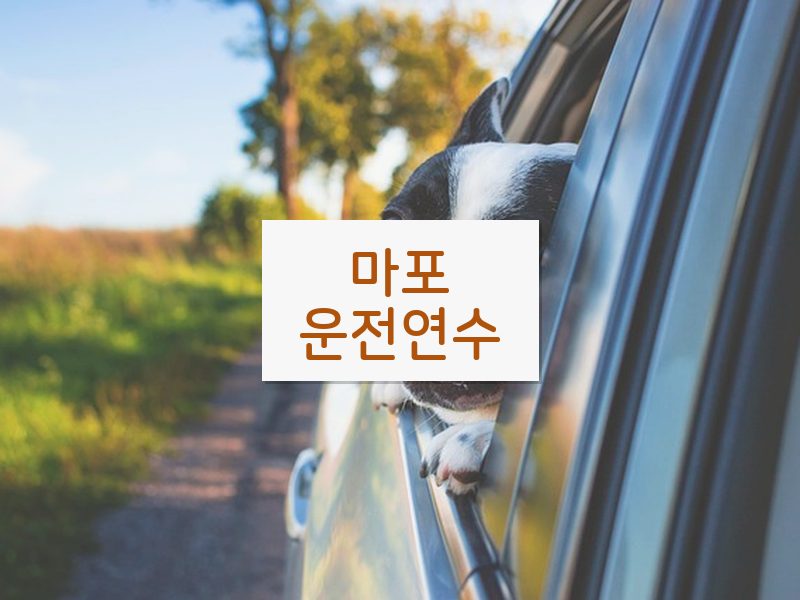 마포운전연수 후기