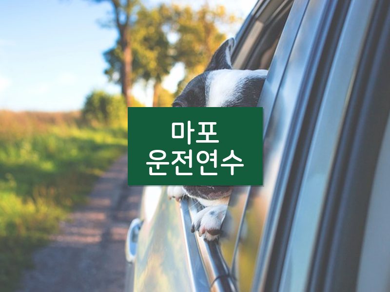 마포운전연수 후기