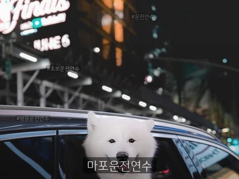 마포운전연수 후기