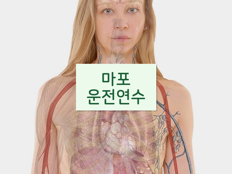 마포운전연수 후기