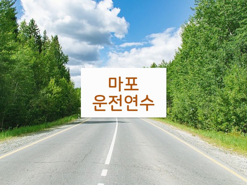 마포운전연수 후기