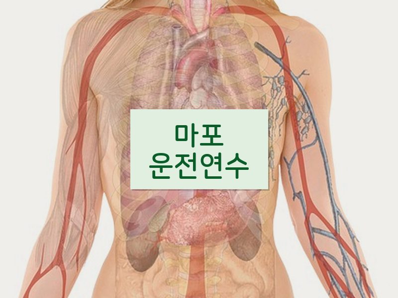 마포운전연수 후기