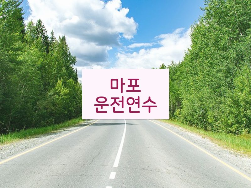 마포운전연수 후기
