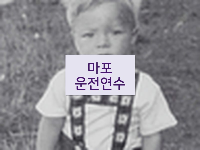 마포운전연수 후기