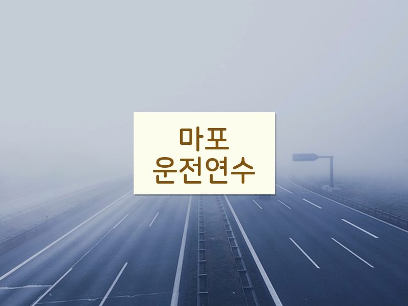 마포운전연수 후기