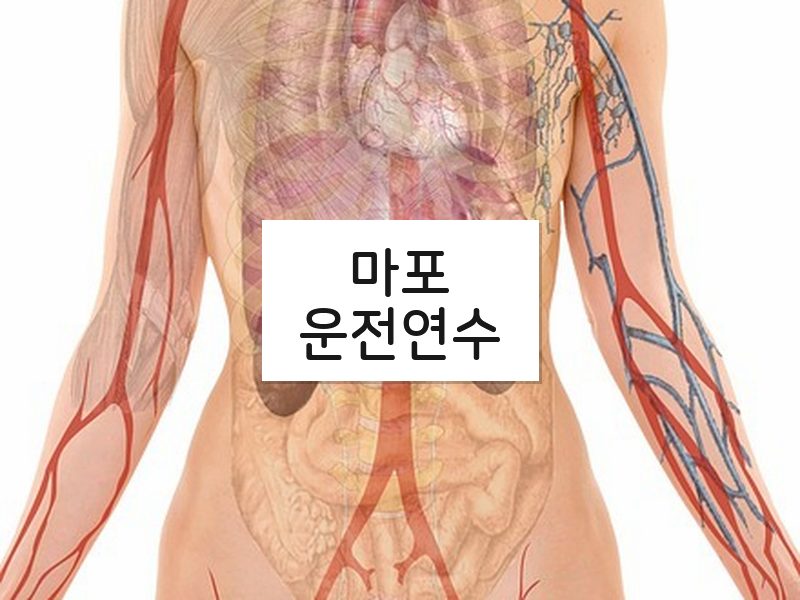 마포운전연수 후기