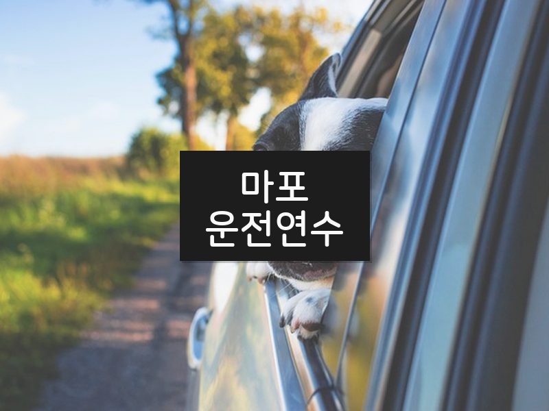 마포운전연수 후기
