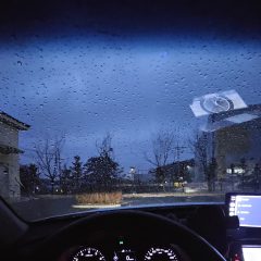 사고 후 운전 극복