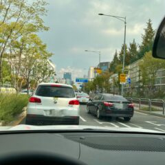 개별 맞춤 코스