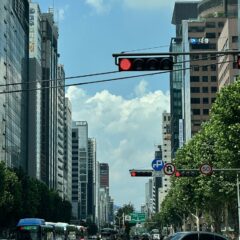 마포운전연수 초보도 할 수 있어요 후기 이미지