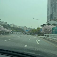 마포에서 마포운전연수 받은 후기