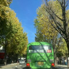 마포운전연수 첫 운전 성공기